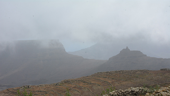 Montagne et brouillard, là où poussent les aeonium