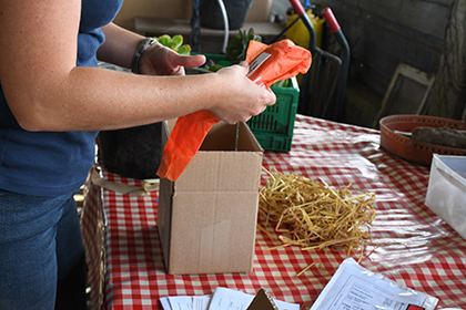 Parcel preparation