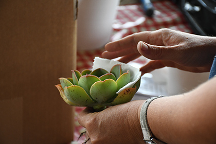 Parcel preparation