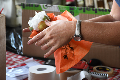 Parcel preparation