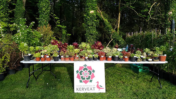 Le stand de la ferme botanique de Kerveat